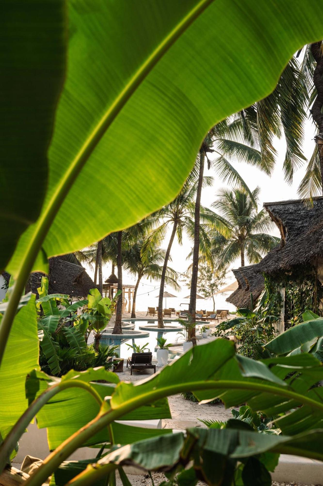Mala Boutique Hotel Bwejuu Exterior foto